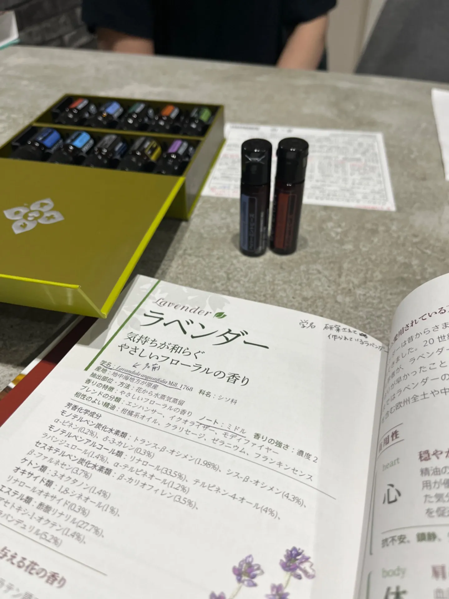 ドテラのファミリーキット