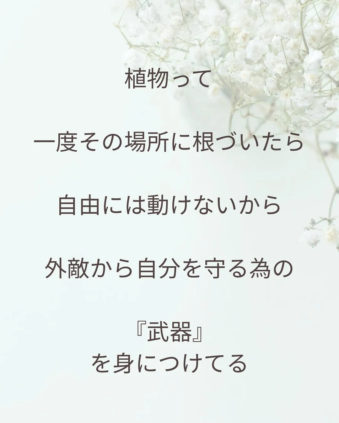 植物のチカラ
