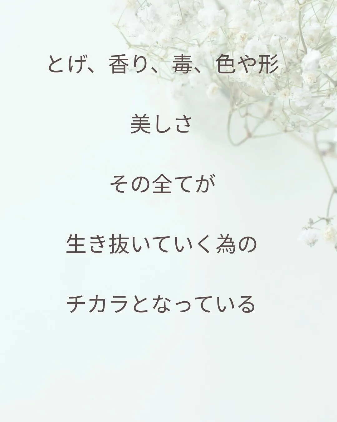 植物のチカラ