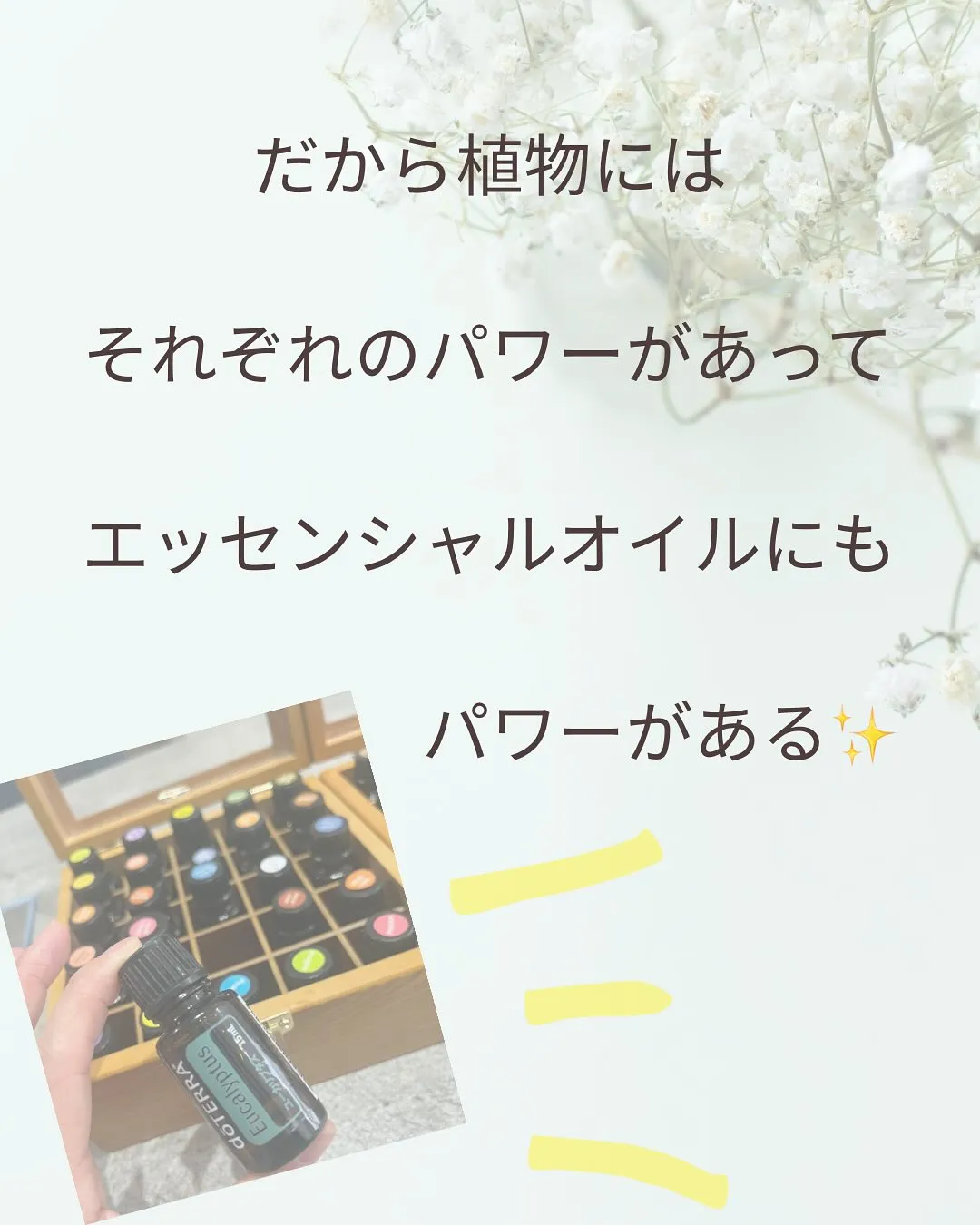 植物のチカラ